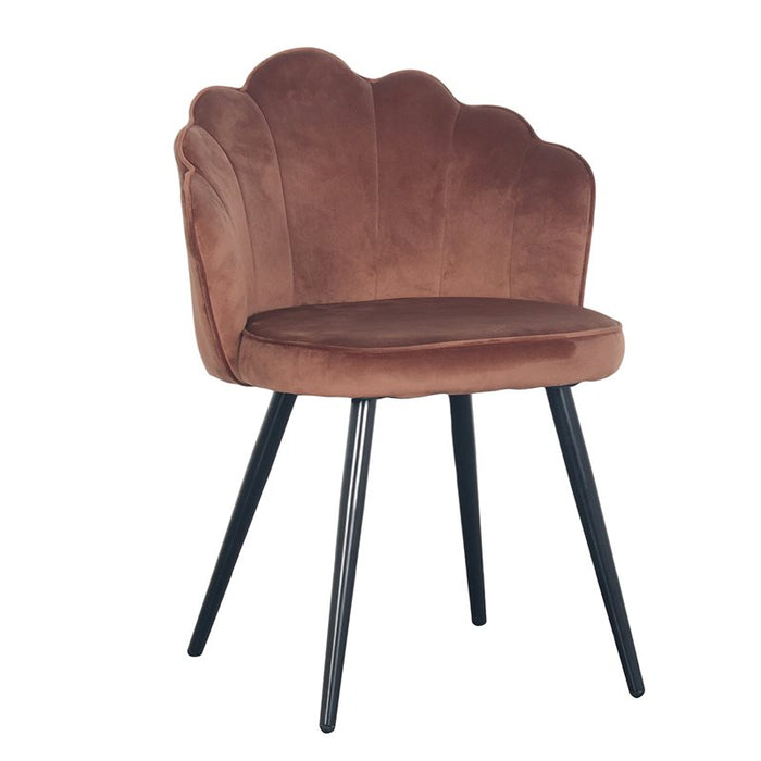 146ebe6c-303b-4da8-9221-1f703eb5a04a-afbeelding3.jpg (4896840) 