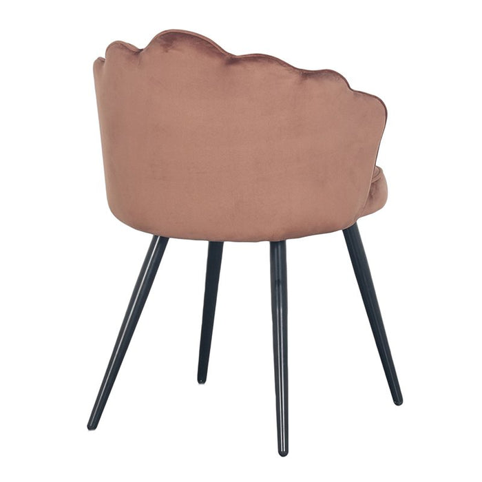 146ebe6c-303b-4da8-9221-1f703eb5a04a-afbeelding5.jpg (4896842) 