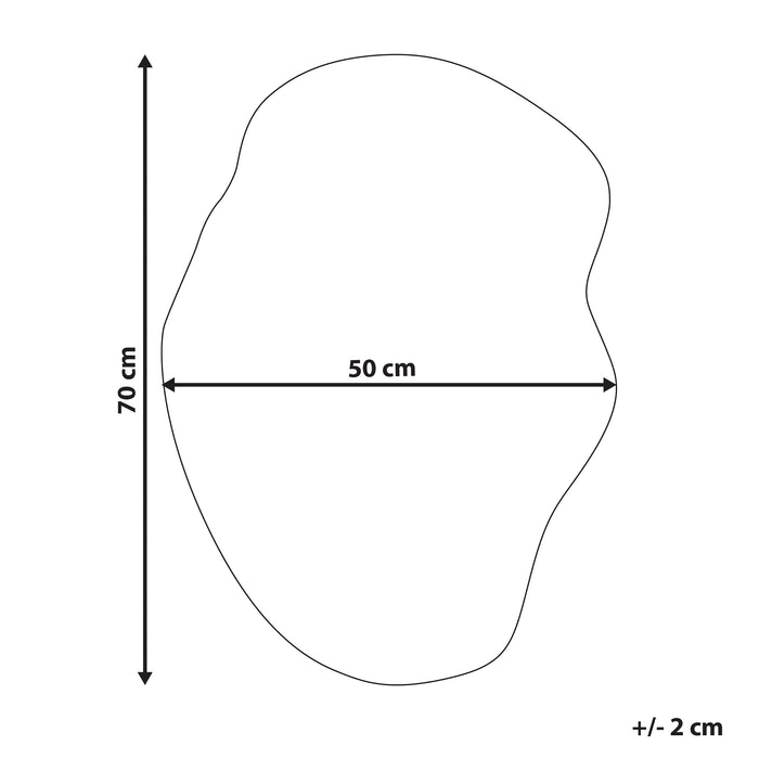 Beliani - FALAISE - Wandspiegel - Zilver  - Glas