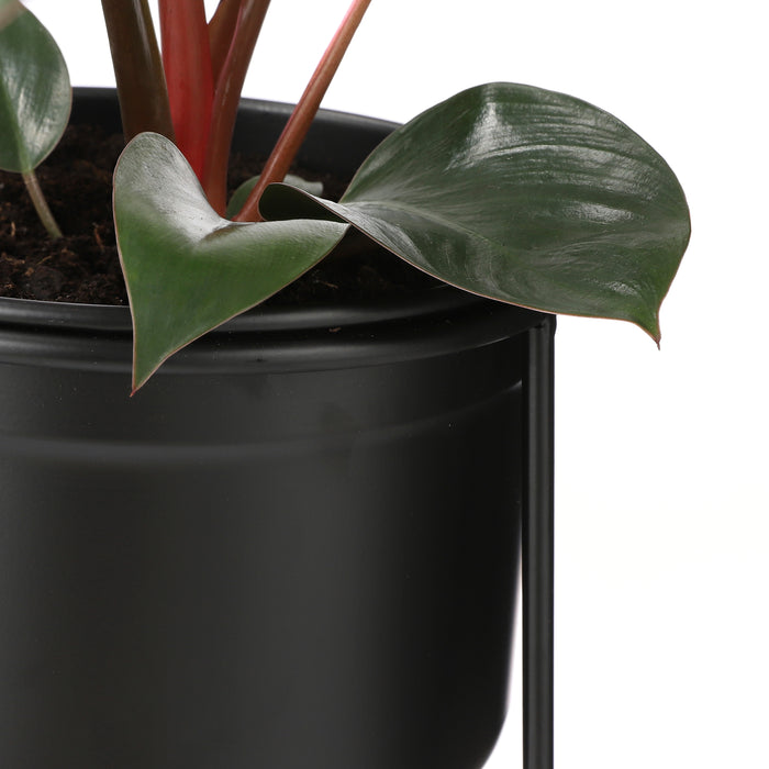 Mica Decorations Ramona Pot op Standaard Zwart