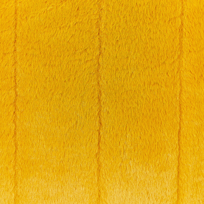 9a79b29e-1f9c-4156-b422-3dbf39dec383-afbeelding5.jpg (4929389) 