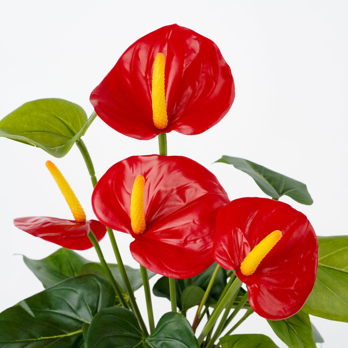 Mica Decorations Anthurium Kunstplant - H40 x Ø30 cm - Rood