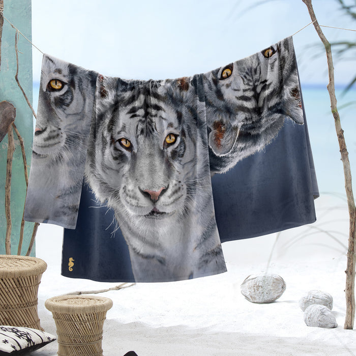 d8ef21e8-002f-44c2-ac5c-bca52b0c8713-afbeelding3.jpg (4949499) 