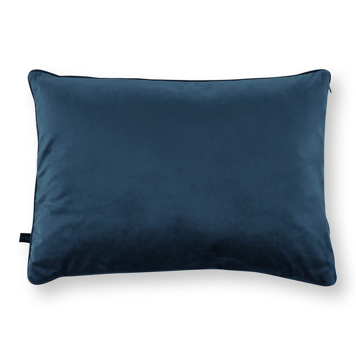 315905-x01-202211101822-c.jpg (4962944) 