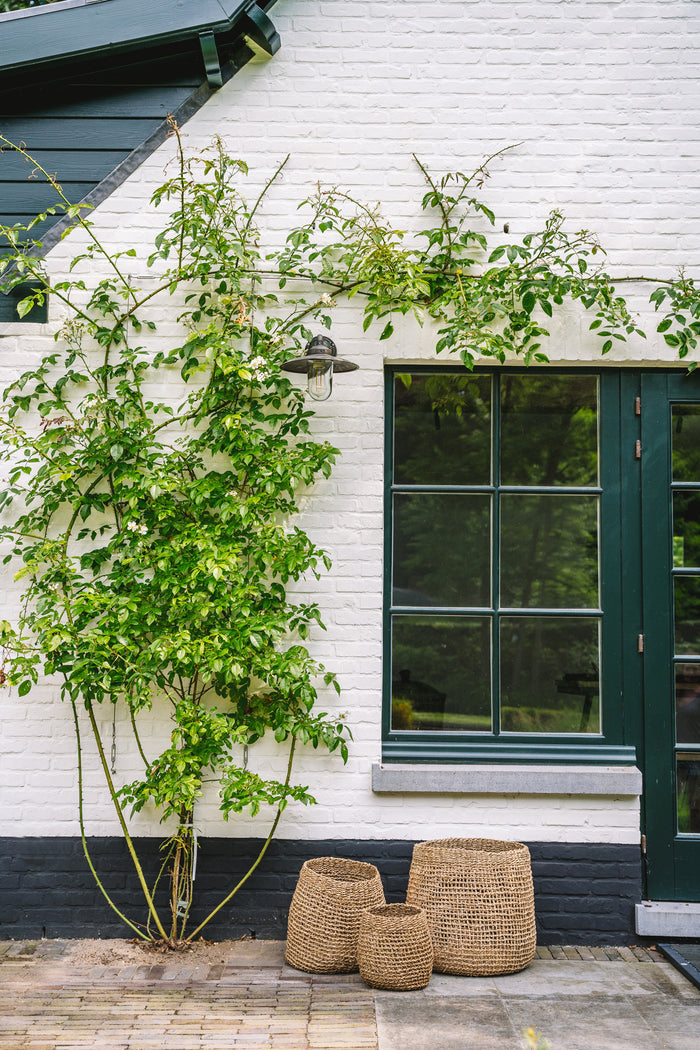 6b1356f0-39f6-4814-bda9-9983e23e63f6-sfeerbeeld.jpg (4964894) 