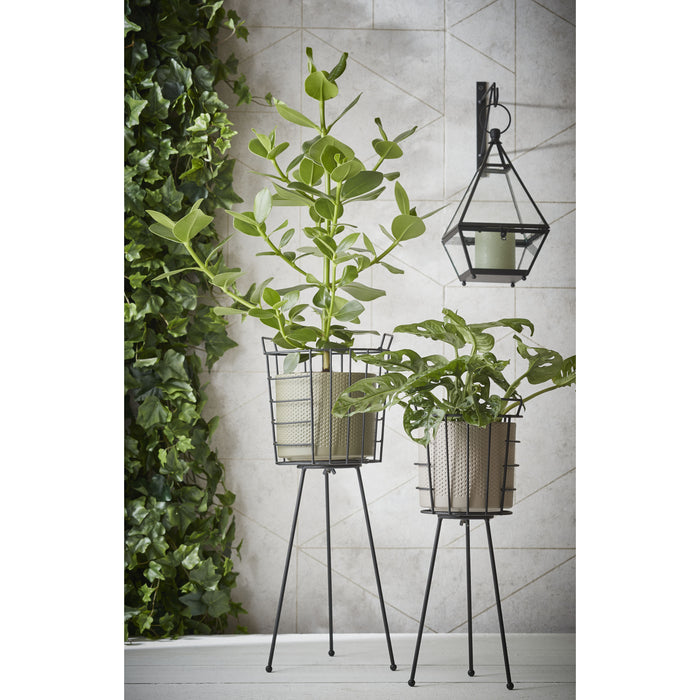 73fe9523-50b0-4147-9734-698b8e9f04dc-afbeelding5.jpg (4971189) 