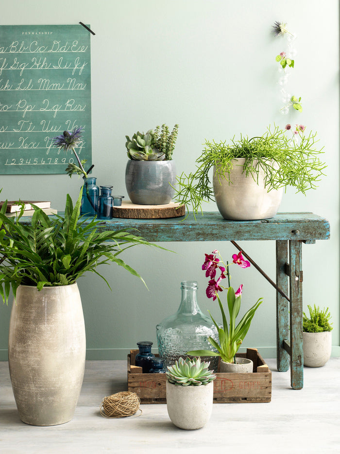 a50da9a8-eaf7-40ed-b5dd-25ae09af34fb-afbeelding5.jpg (4977514) 