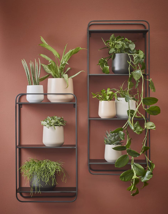 9ff04fb6-ca4d-47af-a087-07e4ef30587c-afbeelding5.jpg (4978545) 