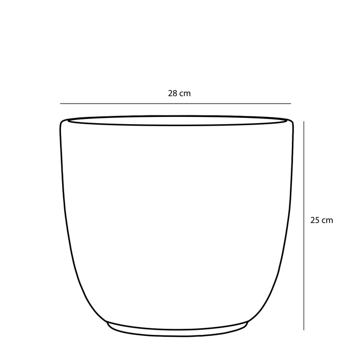 377e005d-3b86-444d-85c7-85d243421ee5-afbeelding4.jpg (4981686) 