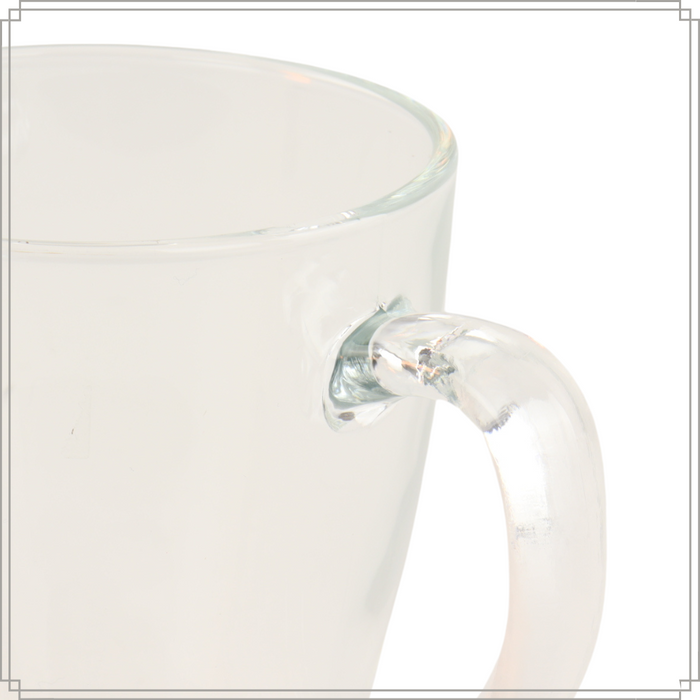 OTIX Theeglazen met Oor 6 Stuks Theetassen 350ml Groot Glas Cappucc...