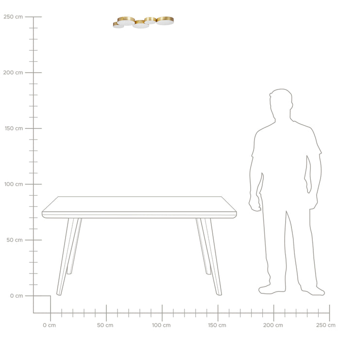 5cfb1fa4-4c66-45e4-b58d-0c7a76534ec2-afbeelding7.jpg (4999167) 