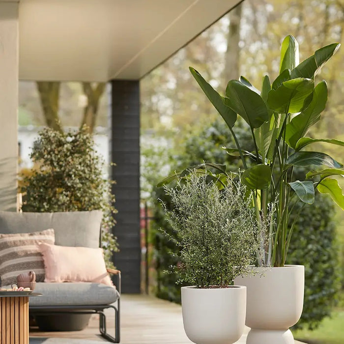 elho Pure Coupe Bloempot Ø 41 cm - Balanced Beige