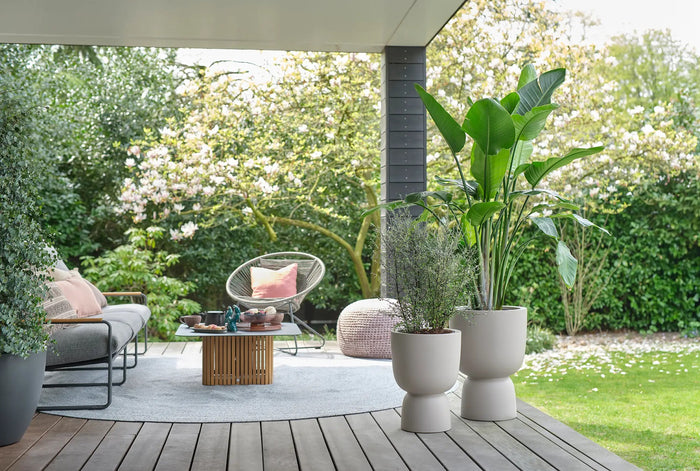 elho Pure Coupe Bloempot Ø 41 cm - Balanced Beige