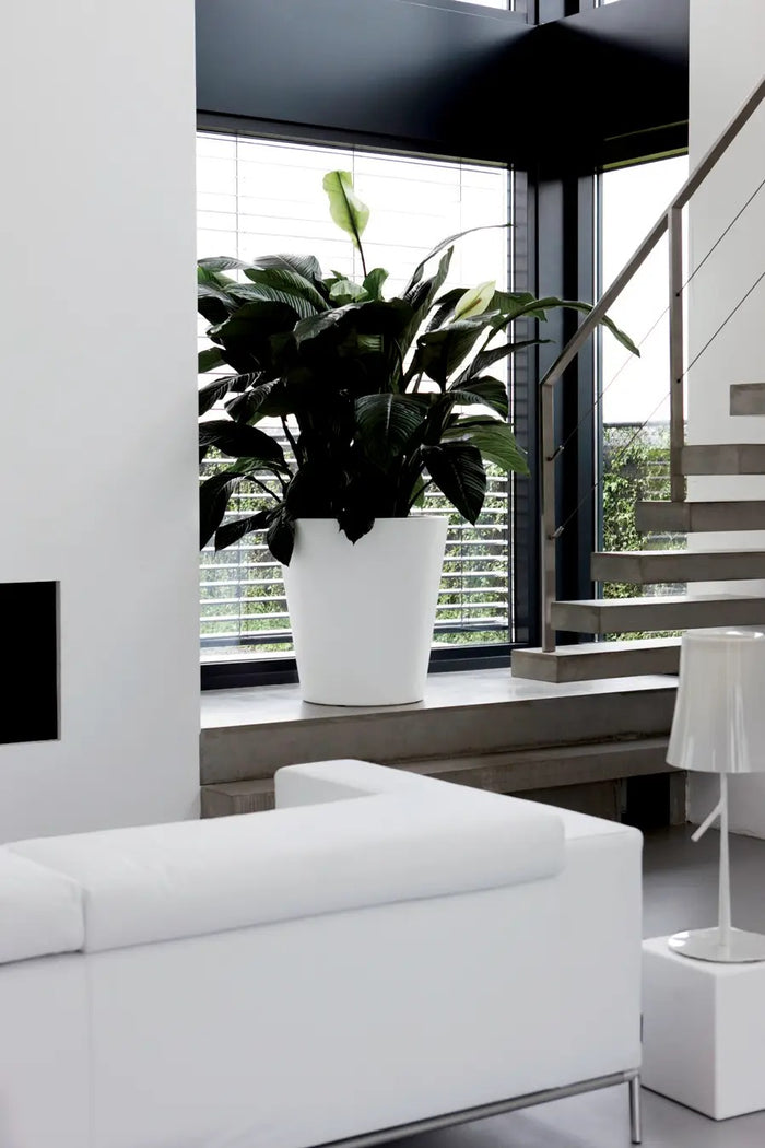 elho Pure Straight Round Plantenbak 35 cm Wit