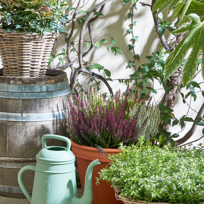 Mica Decorations Marcia Plantenmand voor Buiten - H18 x Ø43 cm - Grijs