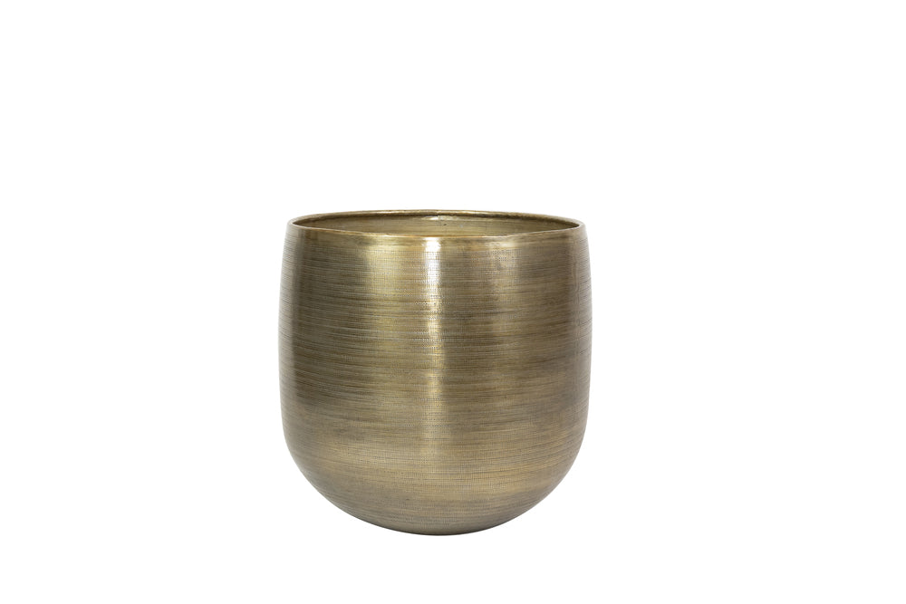 909ebf8d-0a83-41fb-9bd4-ae11da49e48e-vrijstaandbeeld.jpg (5027353) 