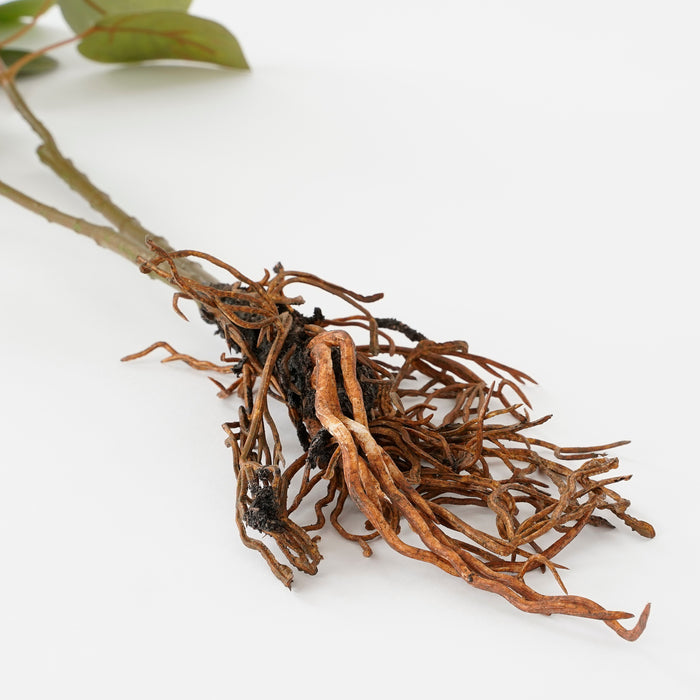 Mica Decorations Eucalyptus Kunstplant - L12 x B28 x H64 cm - Groen