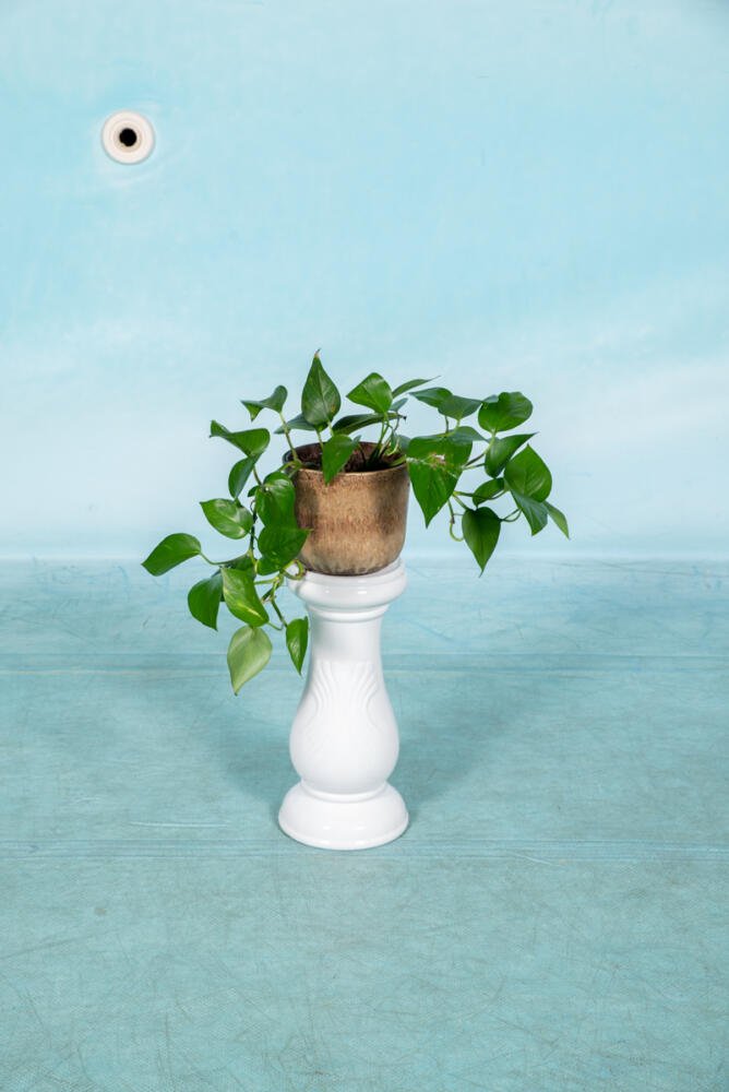 Reliving Vintage Plantenzuil, Boho Keramische Pilaar Jaren 60|70