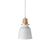 Hioshop Rigel verlichting hanglamp Ø16cm aluminum wit, hout.
