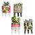 Bloomique - 4x Succulenten Mix Pot – Succulenten – ⌀6 cm - ↕10-15 cm