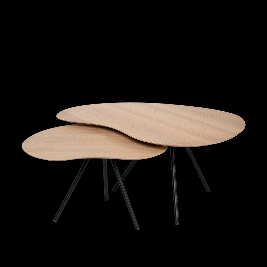 70a54423-b2bf-4fc3-8aa2-439563a47420-vrijstaandbeeld.jpg (5089961) 