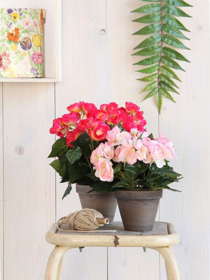 Mica Decorations Begonia Kunstplant - H30 x Ø25 cm - Donkerroze