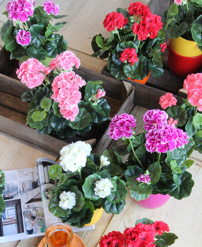 Mica Decorations Geranium Kunstplant - H34 x Ø20 cm - Donkerroze