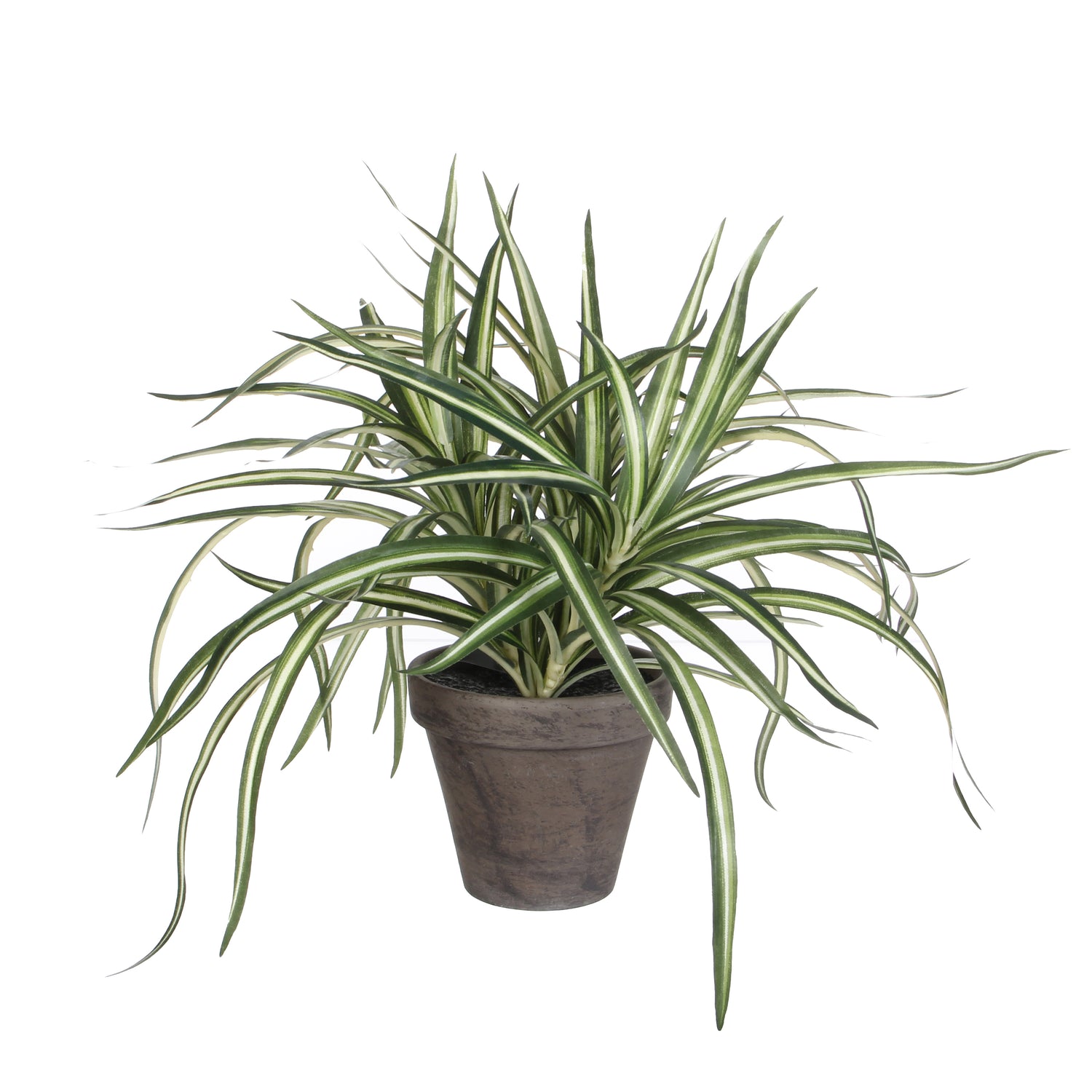 Mica Decorations Dracaena Kunstplant - H34 x Ø40 cm - Wit