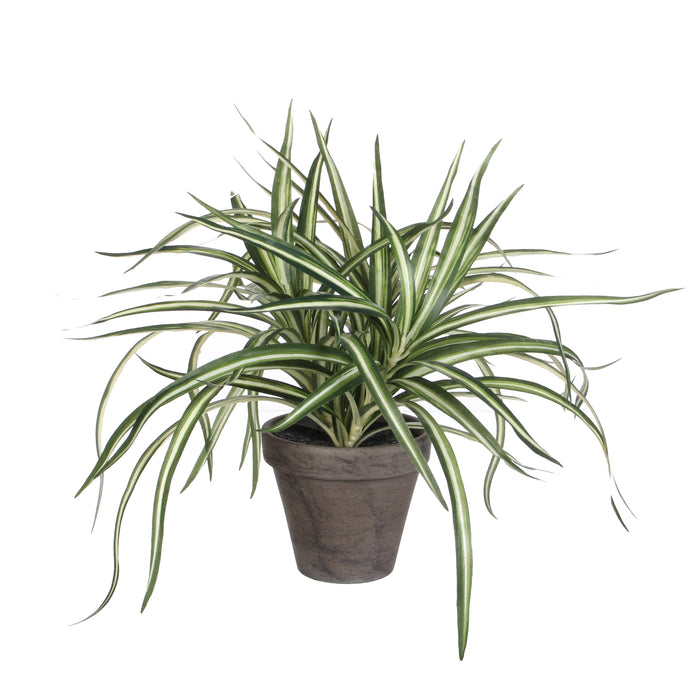 Mica Decorations Dracaena Kunstplant - H34 x Ø40 cm - Wit