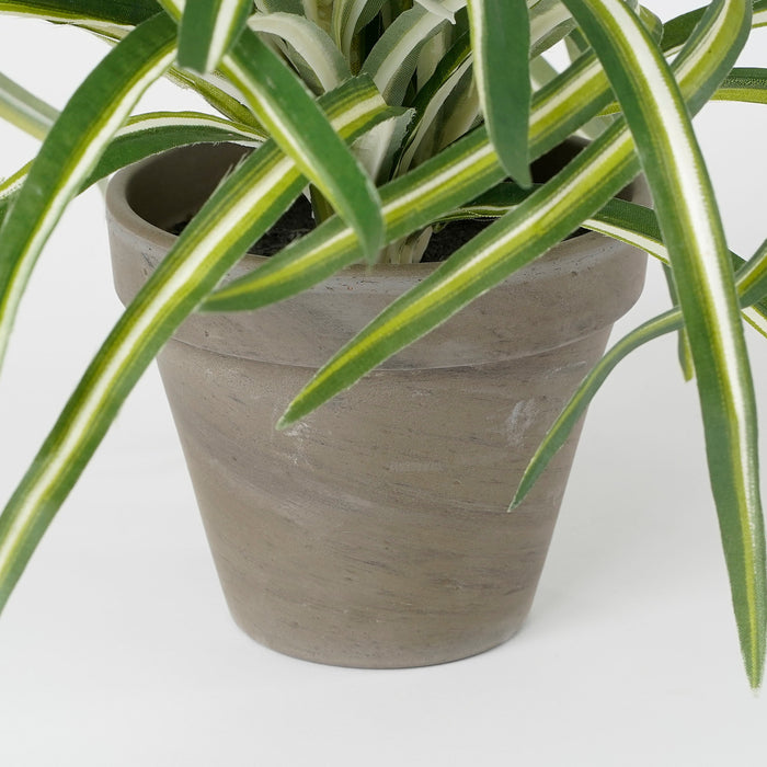 Mica Decorations Dracaena Kunstplant - H34 x Ø40 cm - Wit