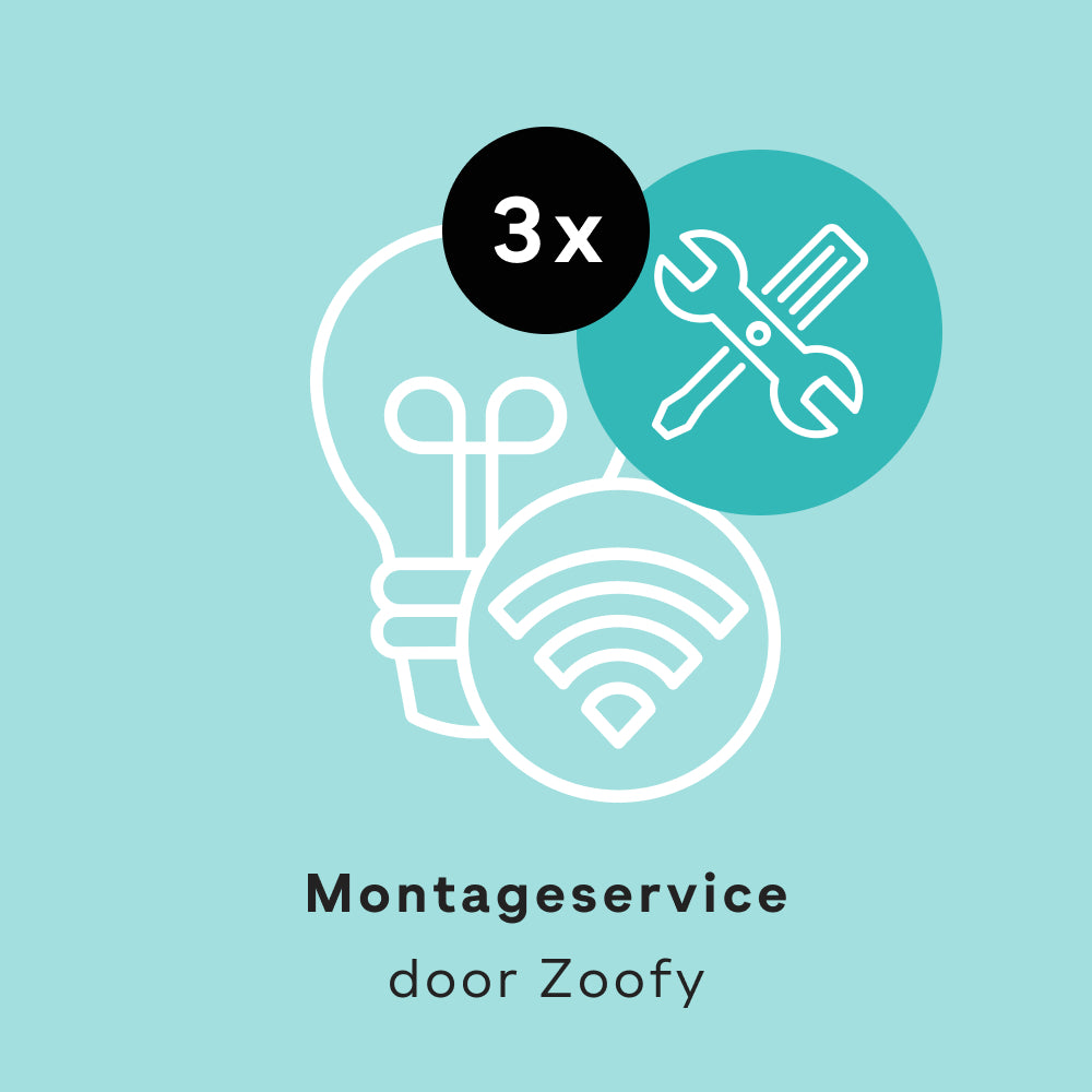 3x Installatie Phillips Hue - Door Zoofy in samenwerking met fonQ