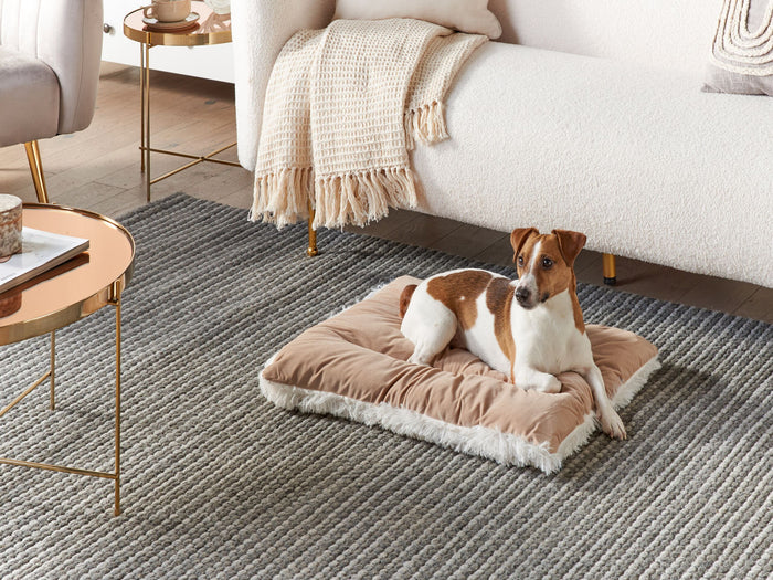 4077a5ab-9ae7-4e64-a3a9-e619a54ff6b1-sfeerbeeld.jpg (5129086) 