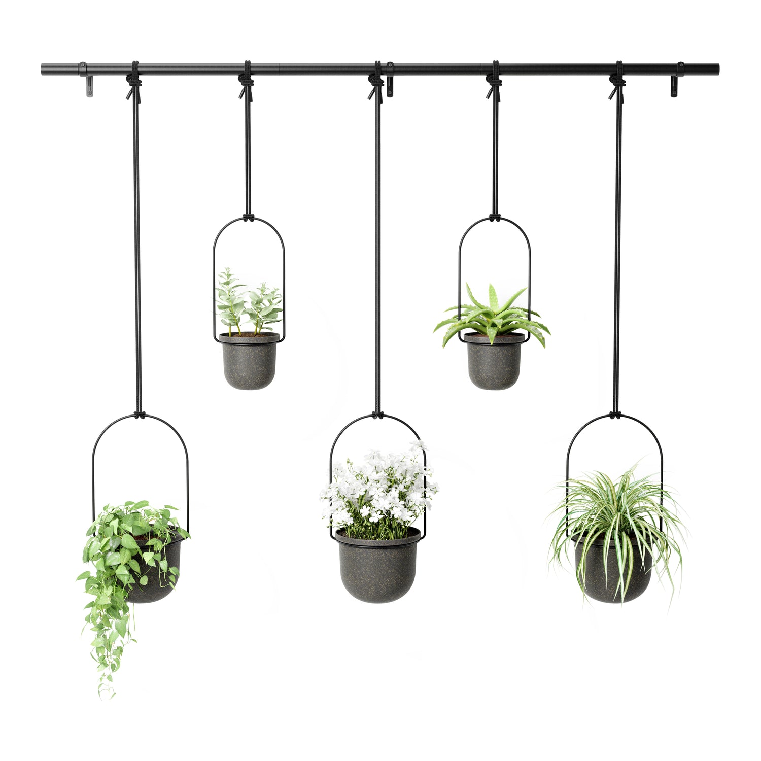 Umbra Triflora Hangende Bloempotten - Set van 5 - Zwart