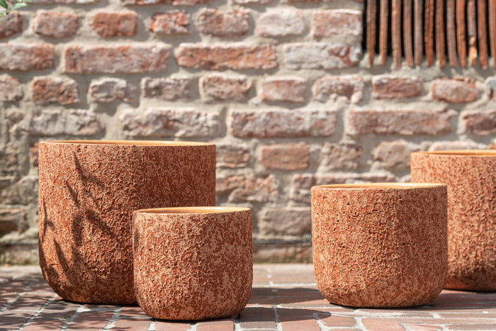 c07d2224-888a-4baf-bf2f-ef433b47be44-afbeelding3.jpg (5143194) 