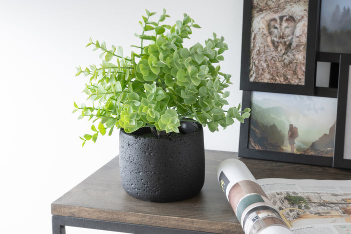 931bdc04-b165-4e11-b210-3b6d83da0981-sfeerbeeld.jpg (5143691) 