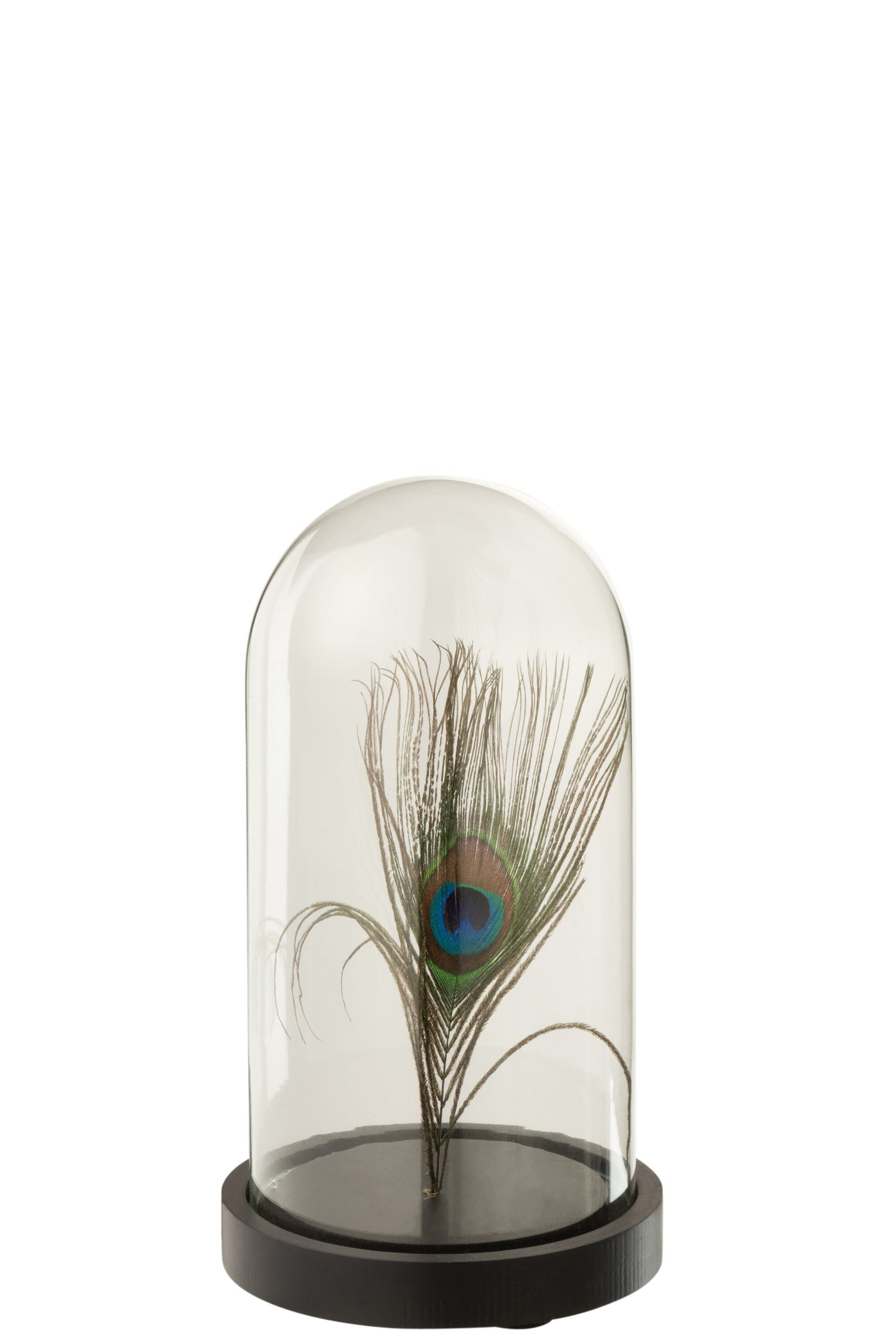 6eec140c-5aad-406b-9aab-37cf735273dc-vrijstaandbeeld.jpg (5146568) 