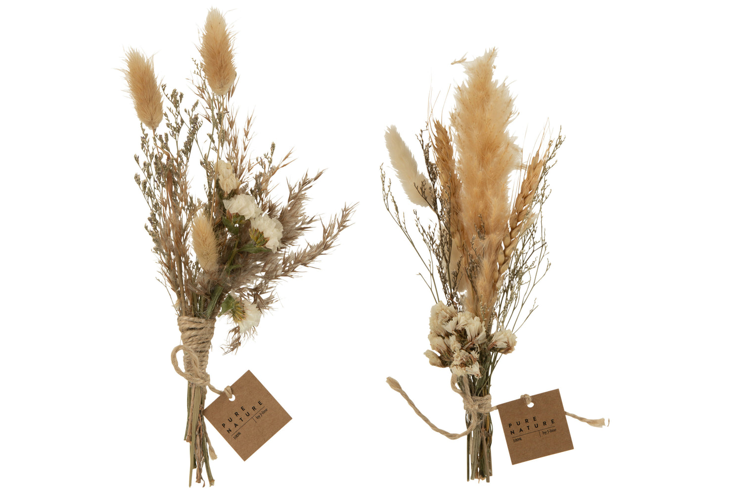 J-Line Bundel Gedroogde Bloemen Naturel Assortiment Van 2