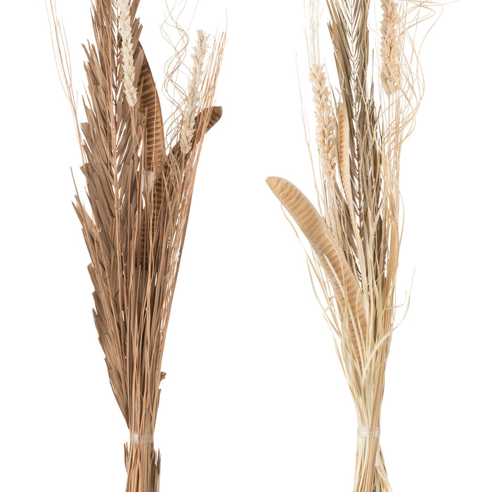 1a121002-8e86-491f-9b17-93108e407b1a-sfeerbeeld.jpg (5147202) 