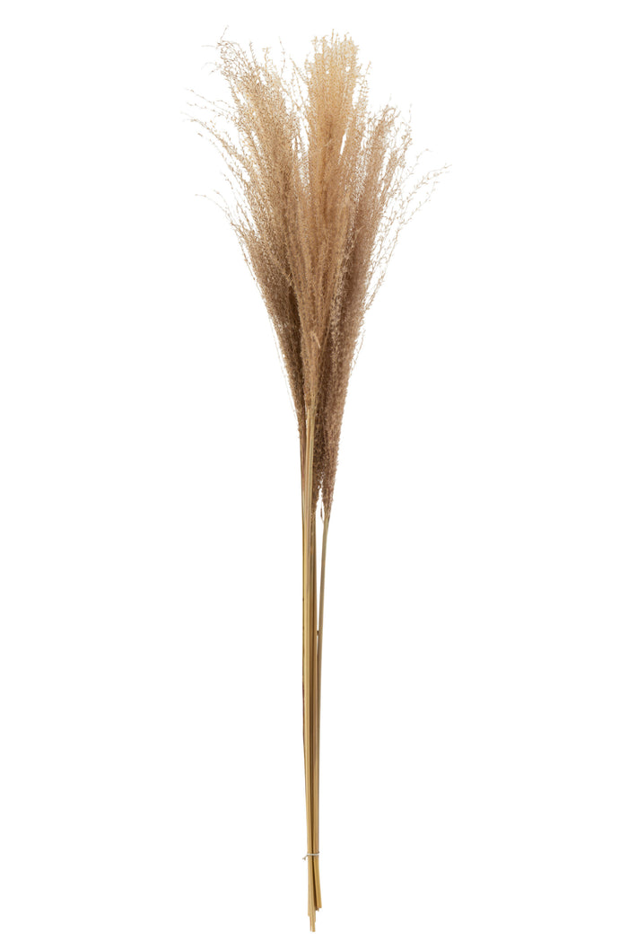 35703f0d-e71c-492a-8d37-93cbce1c1132-vrijstaandbeeld.jpg (5147245) 