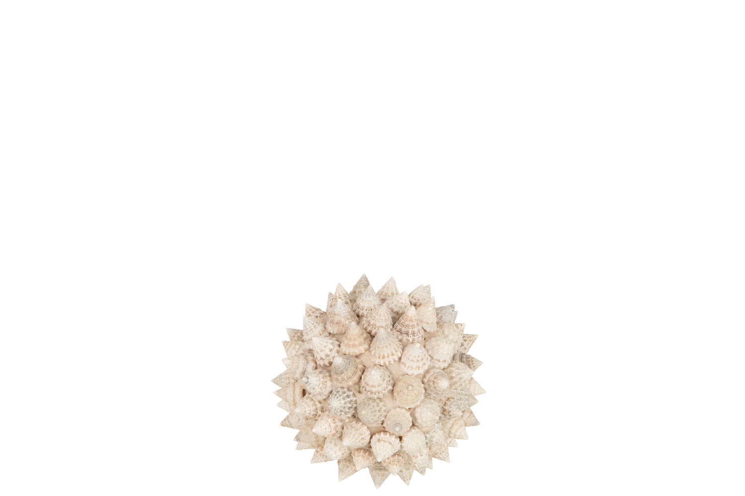 J-Line decoratie Bol Pike - schelpen - wit - small - 2 stuks