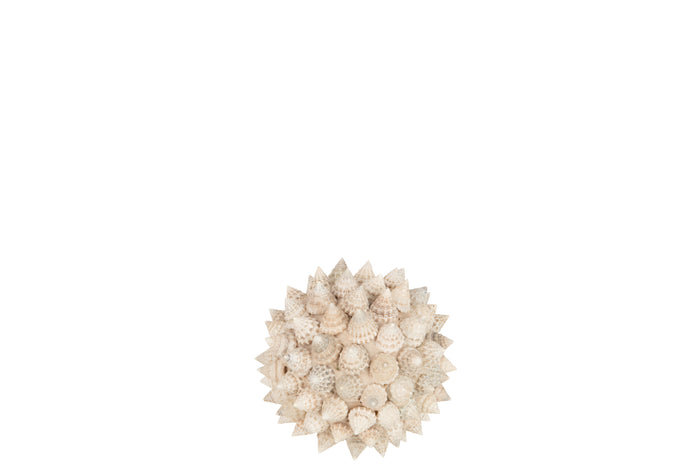 J-Line decoratie Bol Pike - schelpen - wit - small - 2 stuks