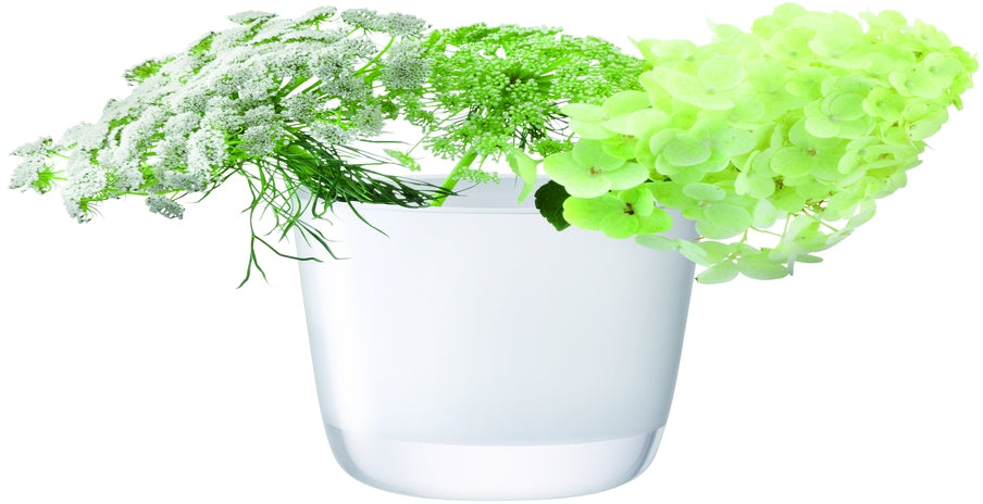 L.S.A. - Otto Vaas 12 cm