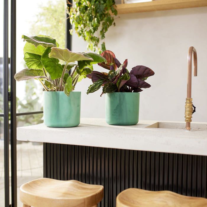 elho The Ocean Bloempot Round Ø 22 cm - Groen