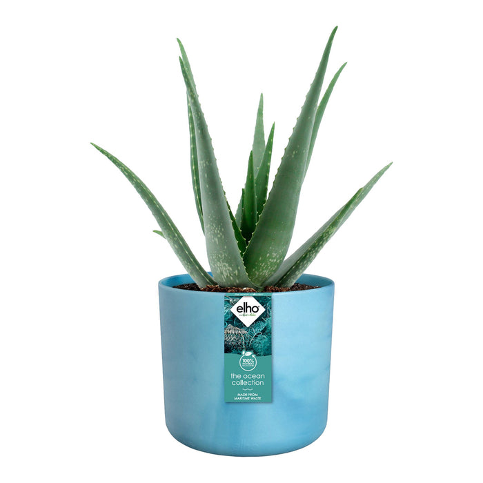 elho The Ocean Bloempot Round Ø 18 cm - Blauw