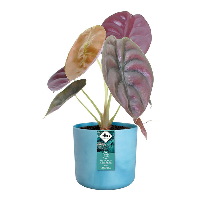 elho The Ocean Bloempot Round Ø 18 cm - Blauw