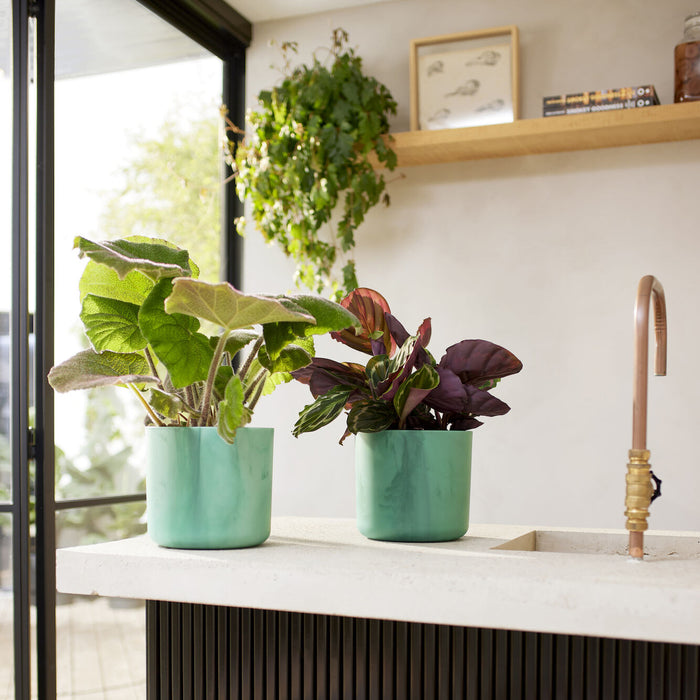 elho The Ocean Bloempot Round Ø 16 cm - Groen