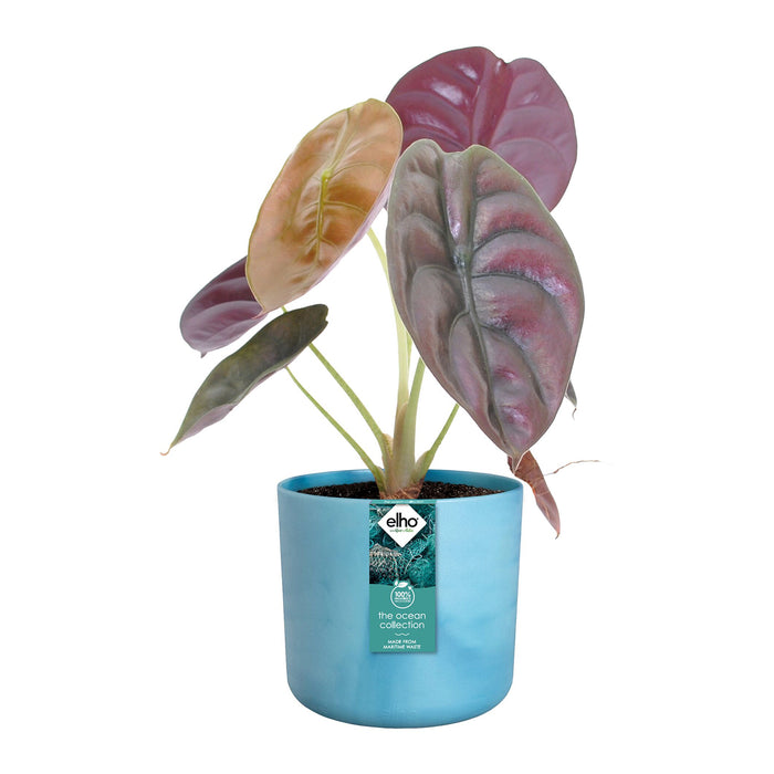 elho The Ocean Bloempot Round Ø 16 cm - Blauw