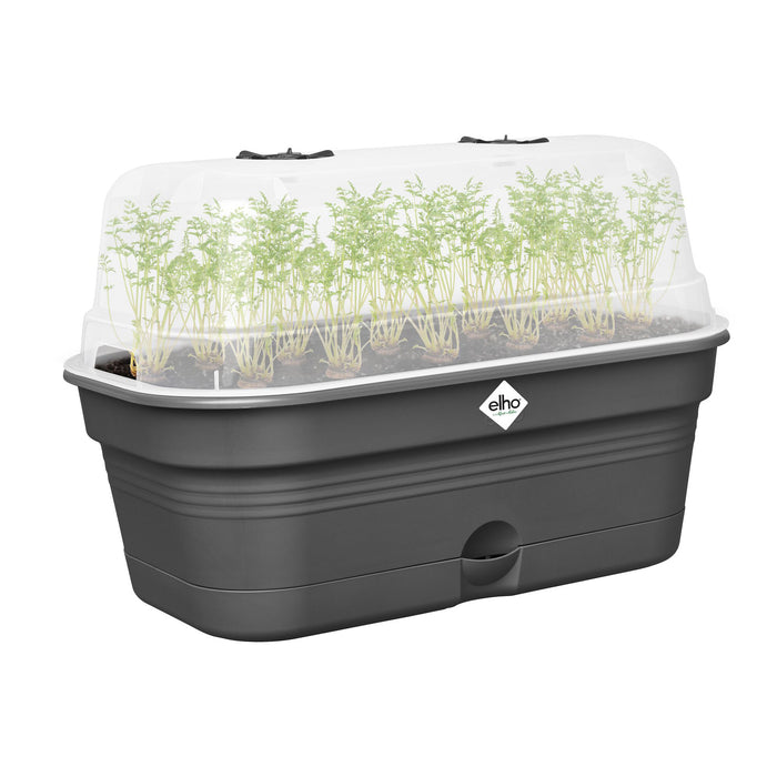 elho Green Basics Kweektray M - Zwart