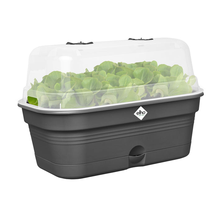 elho Green Basics Kweektray M - Zwart