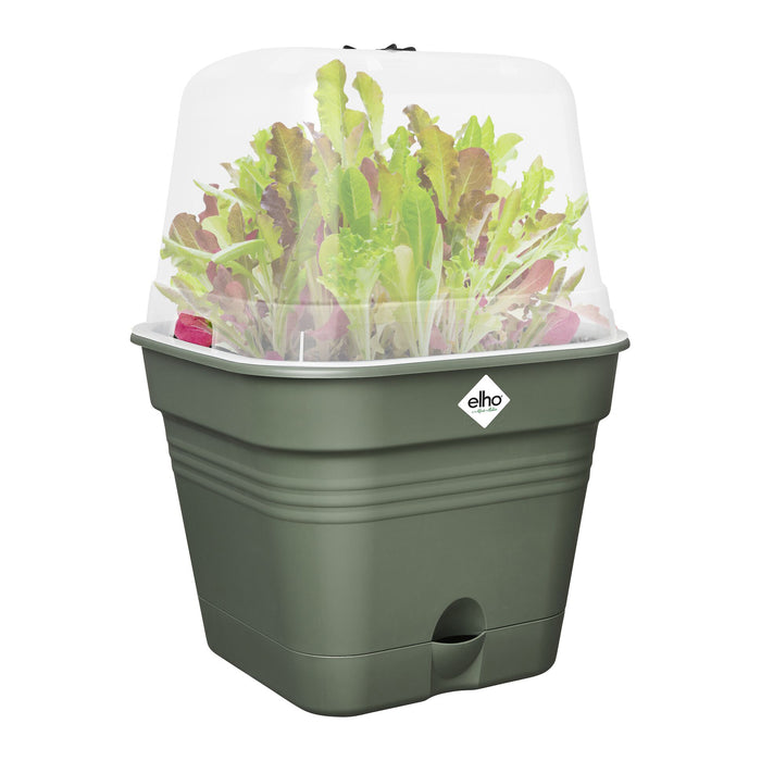 elho Green Basics Kweekpot B 25 x B 25 cm - Groen